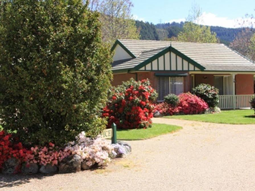 The Birch House - Silver Birches Accommodation Bright Exterior photo